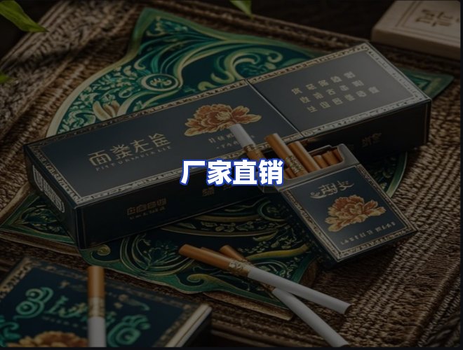 专业团队